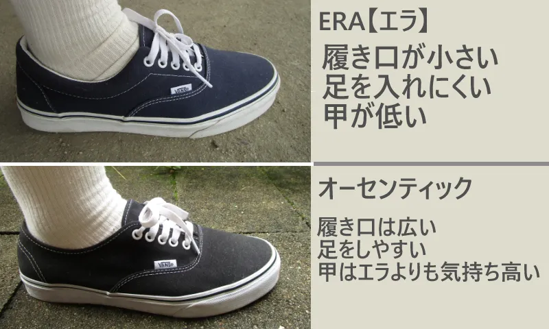 エラとオーセンティックのサイズ感比較